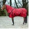 R426- Charlie 200g Combo Turnout Rug with Fully Detachable Hood